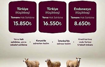 DUHA ile İyilik Sofralardan Kalplere Uzanıyor: Adak, Sadaka ve Akîka Kurbanlarında Güvenli Vekâlet Dönemi