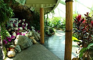 Konya Tropikal Kelebek Bahçesi Kapılarını Yeniden...