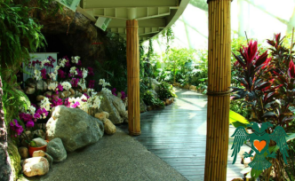 Konya Tropikal Kelebek Bahçesi Kapılarını Yeniden Açtı: Modernize Edilen Bahçe Ziyaretçilerini Bekliyor!