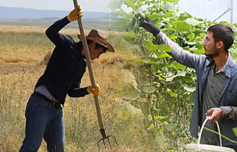 Tarımda Gençlik Alarmı: Kırsala Dönüş İçin "Tersine Göç" Hamlesi Başlıyor